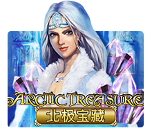 Arctic Treasure